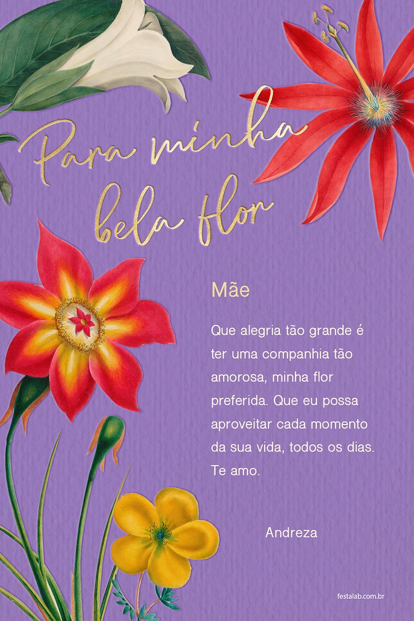 Cartao de Ocasioes especiais - Minha bela flor, lilas